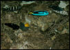 Saltwater Photos
