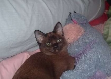 Charlie2