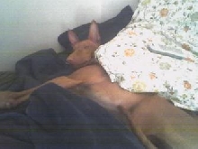 Sleep