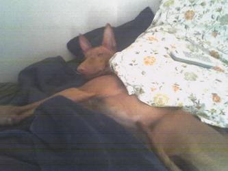 Sleep