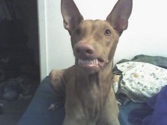 Smile