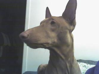 Posing for the camera