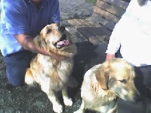 Gus and Roscoe