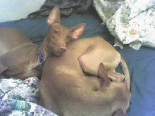 Lean on me