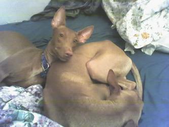 Lean on me