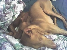 still snugglin'