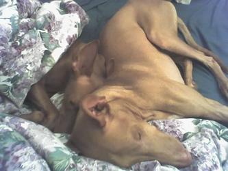 still snugglin'