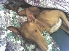 snugglin'