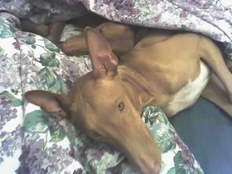 snugglin'
