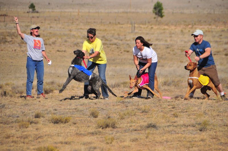NM_Coursing