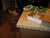 Kaba's 3rd Birthday