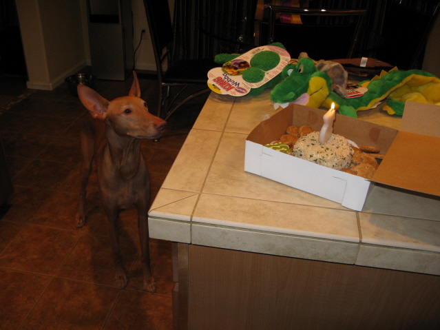 Kaba's 3rd Birthday