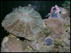 Saltwater Photos