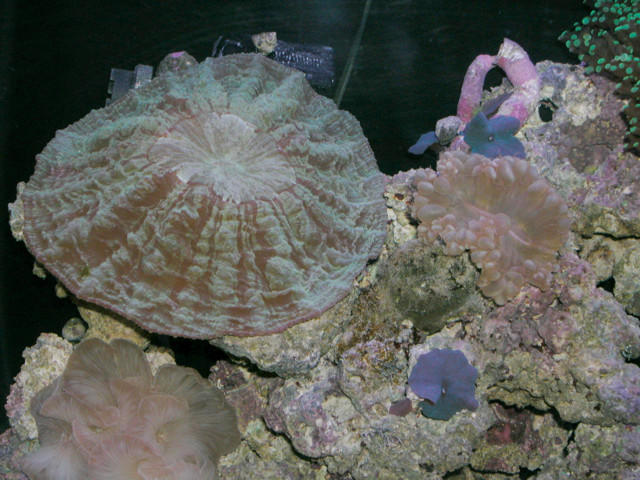 Saltwater Photos