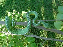 basin 1