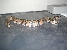 other right
