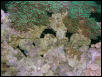 Saltwater Photos