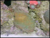 Saltwater Photos