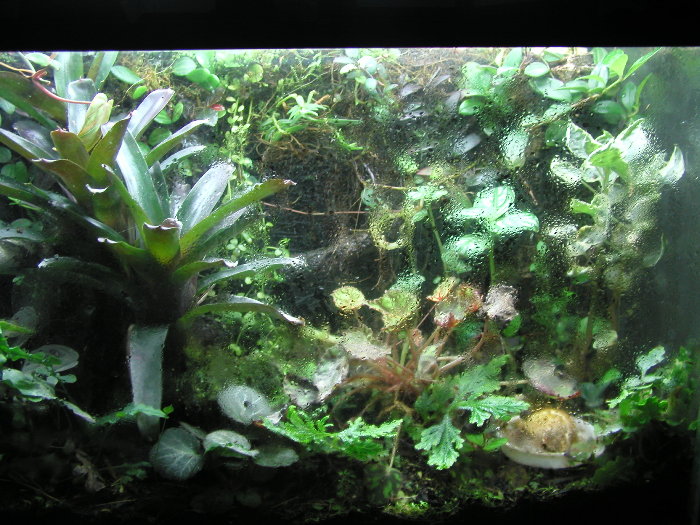 grown in tank