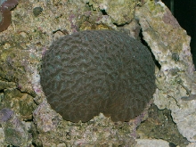 Saltwater Photos