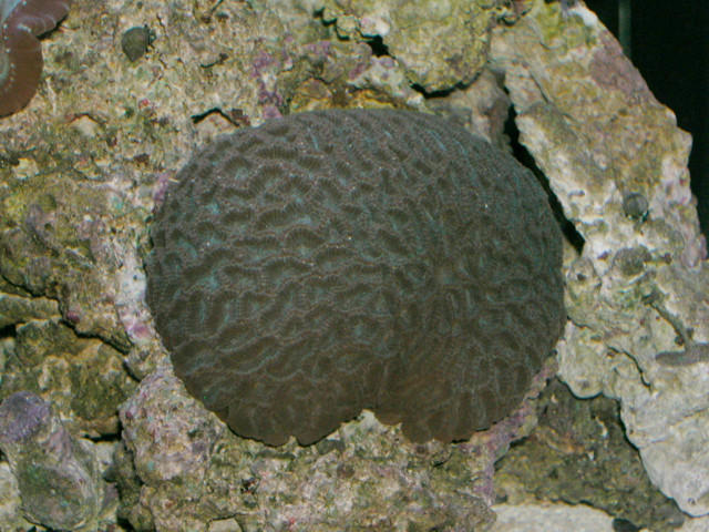 Saltwater Photos