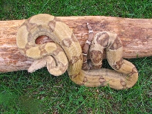 Male Ghost
