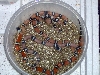 Hypo Es group pic #1