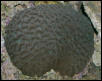 Saltwater Photos