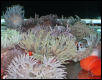 Saltwater Photos