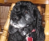 Molly