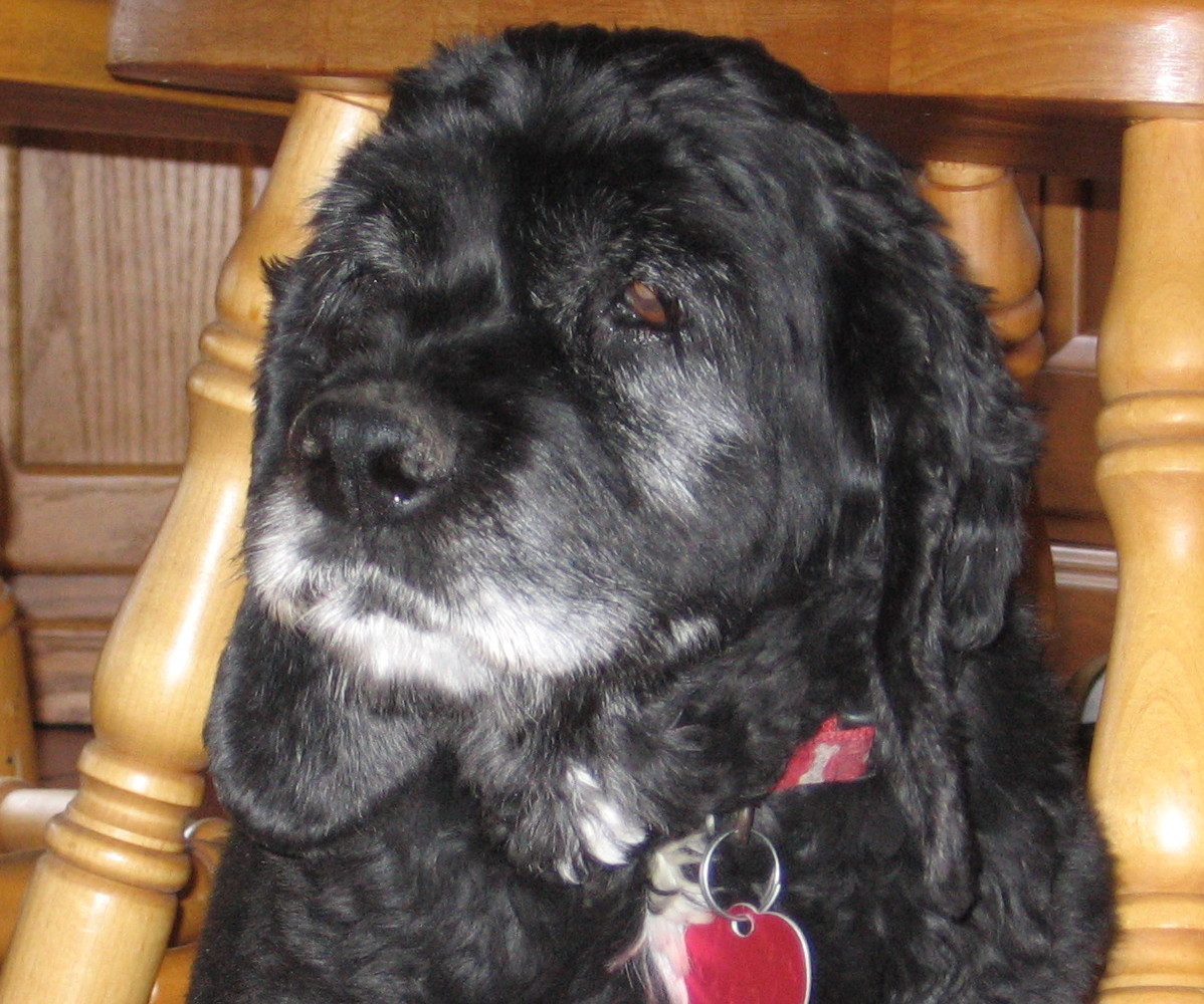 Molly