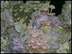 Saltwater Photos