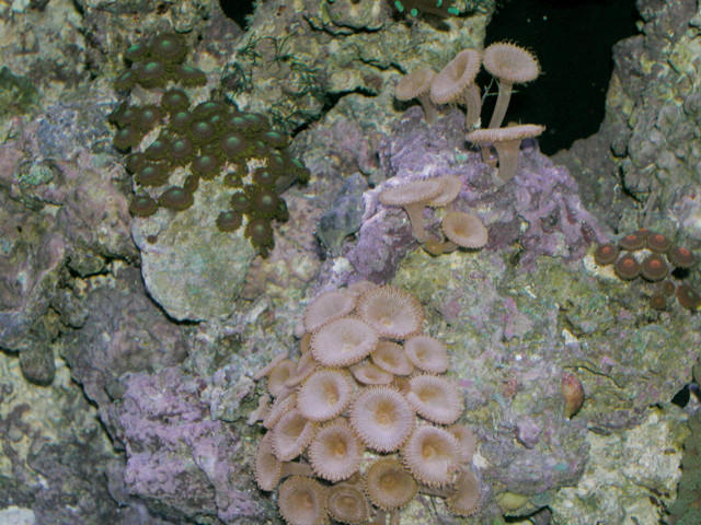 Saltwater Photos