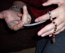 My Female Corn Snake