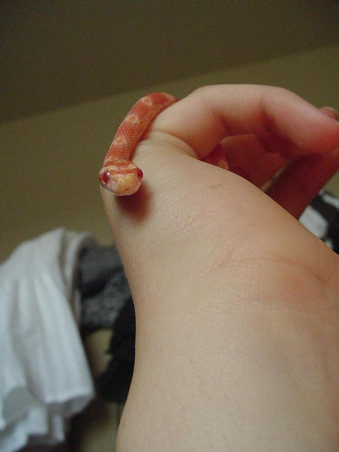 Baby 2