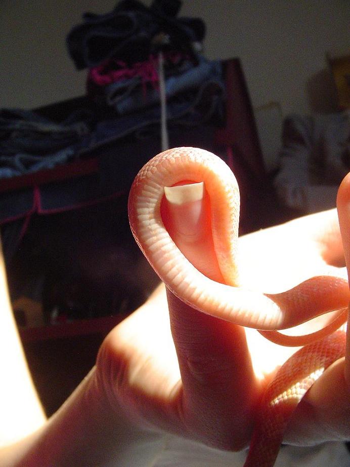 Baby 3