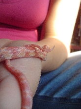 Baby 4