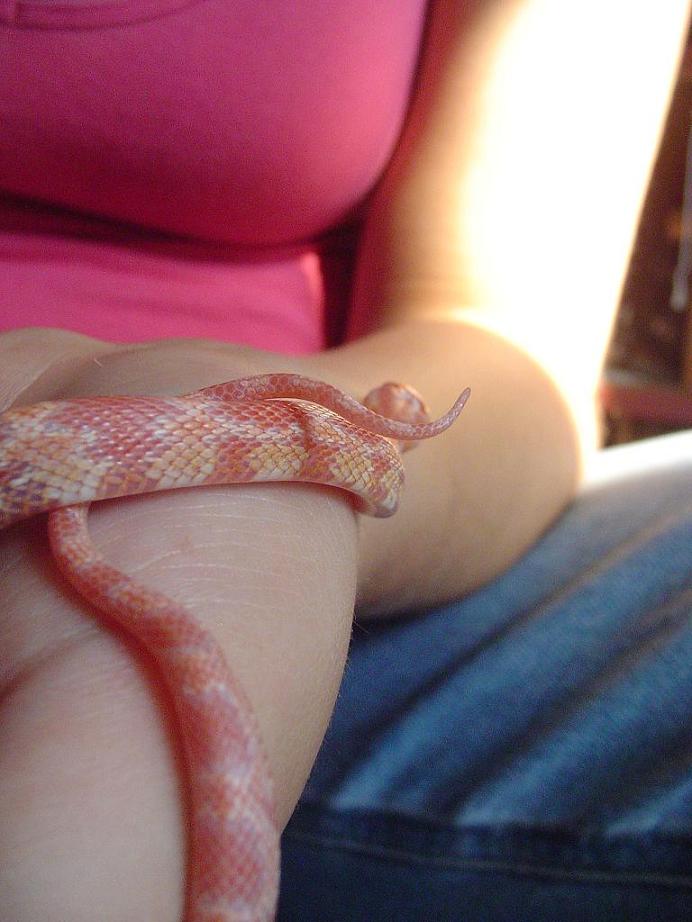 Baby 4