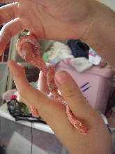 Baby 5