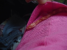 Cordelia in my shirt