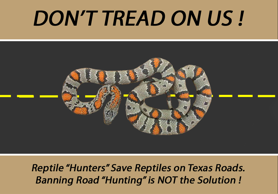 Herper Flag