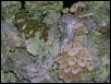 Saltwater Photos