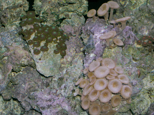 Saltwater Photos