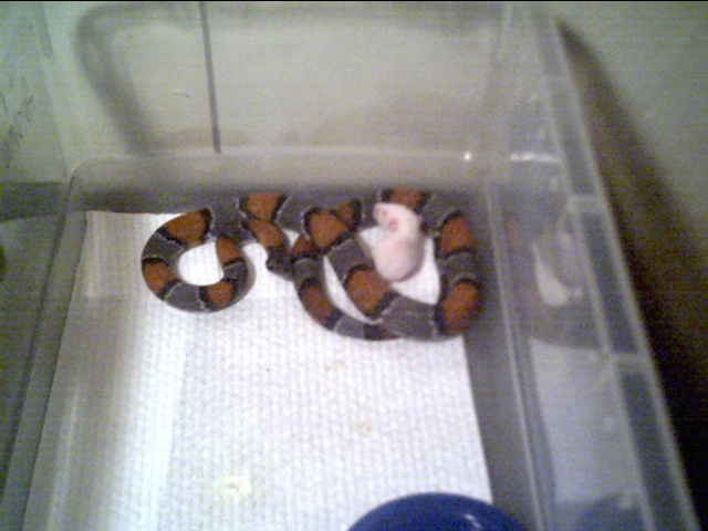 My New Baby :)