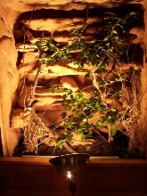 inside view #2
