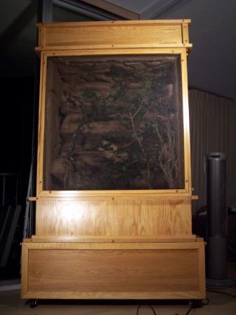 my new jackson cage