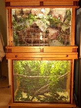 DIY bird cage/ green anole setup/s
