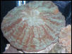 Saltwater Photos