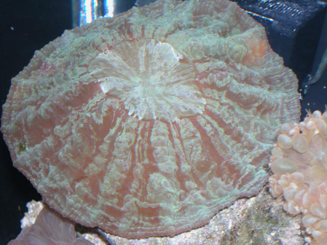 Saltwater Photos