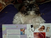 Buzh reading